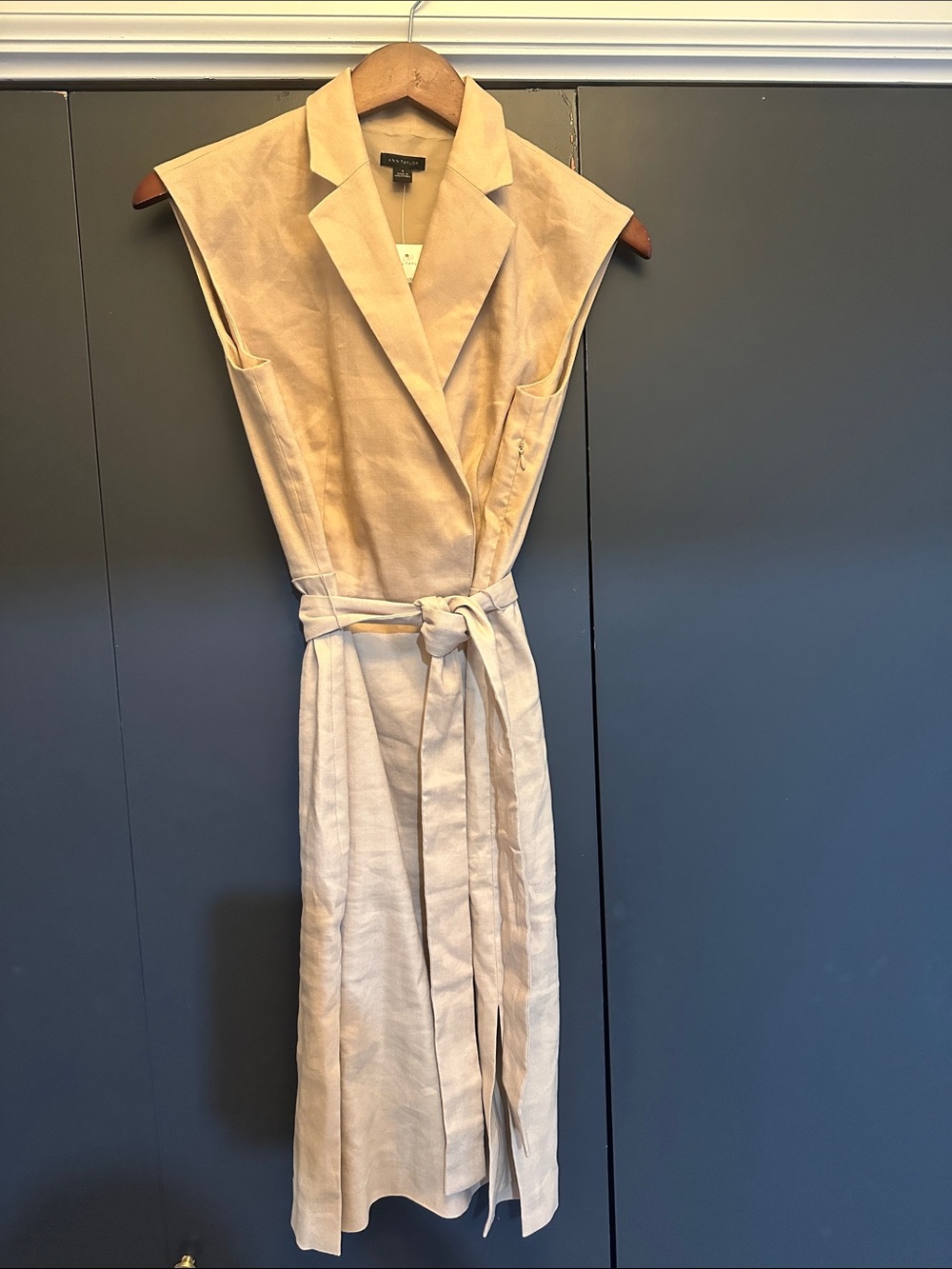 New Ann Taylor dress